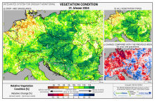 Dopady na vegetaci - Evropa - 31. březen 2024