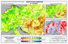 Dopady na vegetaci - Evropa - 1. září 2024