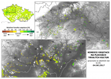 Vegetace trvalých kultur - 4. červen 2017
