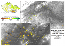 Vegetace trvalých kultur - 25. červen 2017