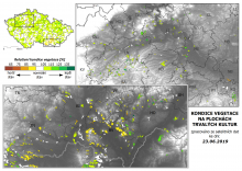 Vegetace trvalých kultur - 23. červen 2019