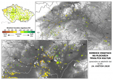 Vegetace trvalých kultur - 24. květen 2020