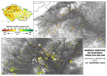 Vegetace trvalých kultur - 23. červenec 2023