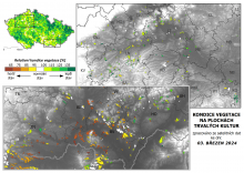 Vegetace trvalých kultur - 3. březen 2024